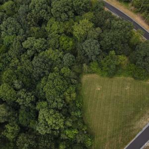 Photo #23 of 34568 Glory Hills, Albemarle, NC 8.4 acres