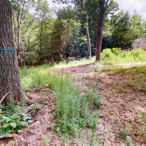 Photo #7 of 34568 Glory Hills, Albemarle, NC 8.4 acres