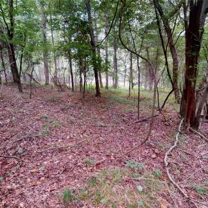 Photo #8 of 34568 Glory Hills, Albemarle, NC 8.4 acres