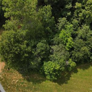 Photo #24 of 34568 Glory Hills, Albemarle, NC 8.4 acres