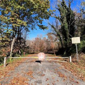 Photo #13 of Hwy 158, Reidsville, NC 100.4 acres