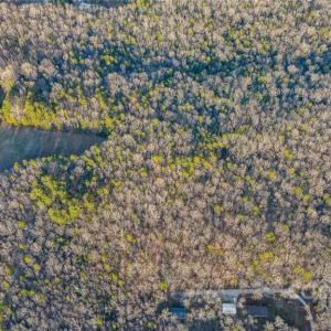 Photo #9 of 9504 Van Wyck, Lancaster, SC 38.0 acres