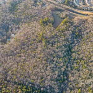 Photo #7 of 9504 Van Wyck, Lancaster, SC 38.0 acres