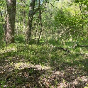 Photo #15 of 1265 Burris, Sharon, SC 137.0 acres