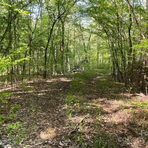 Photo #17 of 1265 Burris, Sharon, SC 137.0 acres