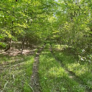 Photo #9 of 1265 Burris, Sharon, SC 137.0 acres