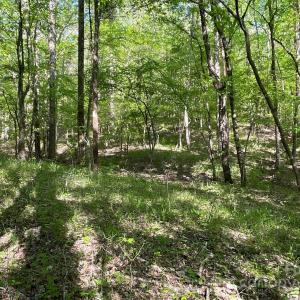 Photo #7 of 1265 Burris, Sharon, SC 137.0 acres