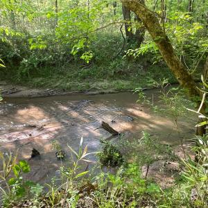 Photo #14 of 1265 Burris, Sharon, SC 137.0 acres