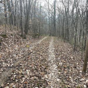 Photo #6 of 1265 Burris, Sharon, SC 137.0 acres