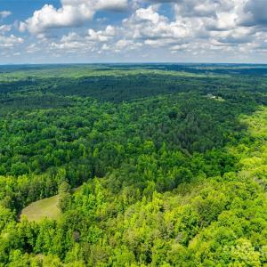 Photo #28 of 1265 Burris, Sharon, SC 137.0 acres