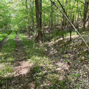 Photo #13 of 1265 Burris, Sharon, SC 137.0 acres