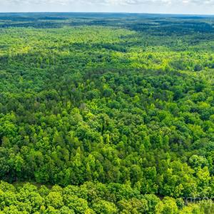 Photo #24 of 1265 Burris, Sharon, SC 137.0 acres