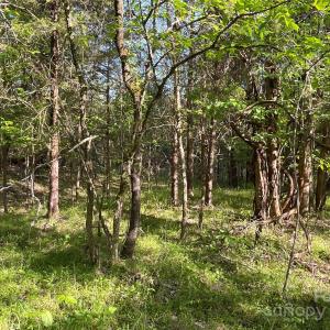 Photo #21 of 1265 Burris, Sharon, SC 137.0 acres