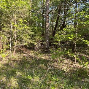 Photo #22 of 1265 Burris, Sharon, SC 137.0 acres