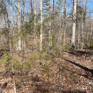Photo #14 of 161 Little River Trail Little River, Lancaster, SC 25.4 acres