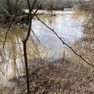 Photo #5 of 161 Little River Trail Little River, Lancaster, SC 25.4 acres
