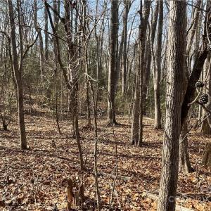 Photo #18 of 161 Little River Trail Little River, Lancaster, SC 25.4 acres