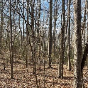Photo #20 of 161 Little River Trail Little River, Lancaster, SC 25.4 acres