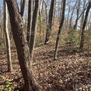 Photo #8 of 161 Little River Trail Little River, Lancaster, SC 25.4 acres