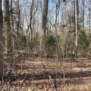 Photo #21 of 161 Little River Trail Little River, Lancaster, SC 25.4 acres