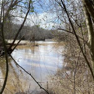 Photo #3 of 161 Little River Trail Little River, Lancaster, SC 25.4 acres
