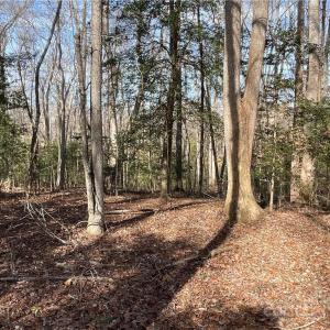Photo #24 of 161 Little River Trail Little River, Lancaster, SC 25.4 acres