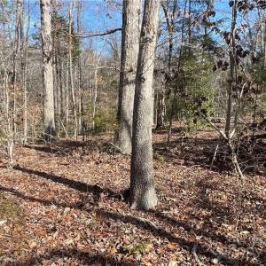 Photo #12 of 161 Little River Trail Little River, Lancaster, SC 25.4 acres