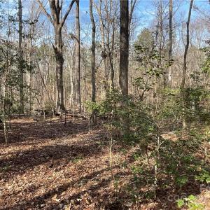 Photo #25 of 161 Little River Trail Little River, Lancaster, SC 25.4 acres
