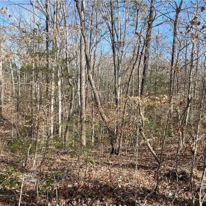 Photo #10 of 161 Little River Trail Little River, Lancaster, SC 25.4 acres