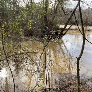 Photo #4 of 161 Little River Trail Little River, Lancaster, SC 25.4 acres