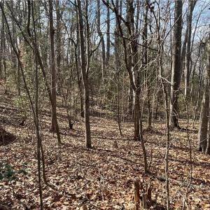 Photo #19 of 161 Little River, Lancaster, SC 25.4 acres
