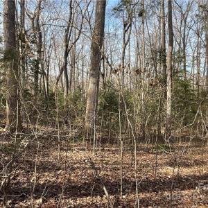 Photo #23 of 161 Little River, Lancaster, SC 25.4 acres