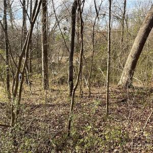 Photo #27 of 161 Little River, Lancaster, SC 25.4 acres