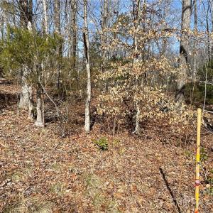 Photo #17 of 161 Little River, Lancaster, SC 25.4 acres