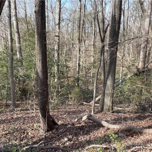 Photo #26 of 161 Little River, Lancaster, SC 25.4 acres