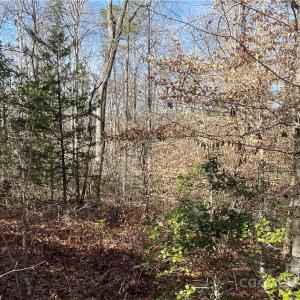 Photo #15 of 161 Little River, Lancaster, SC 25.4 acres