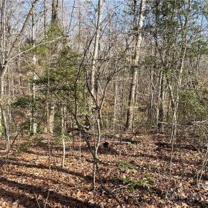 Photo #9 of 161 Little River, Lancaster, SC 25.4 acres