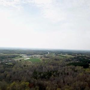 Photo #6 of Black, York, SC