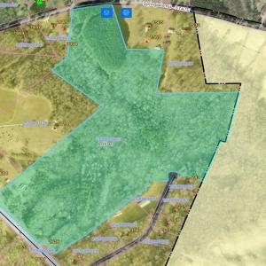 Photo #3 of Black, York, SC