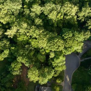 Photo #8 of 1581 Huntmoor, Rock Hill, SC