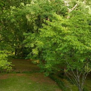 Photo #3 of 1581 Huntmoor, Rock Hill, SC
