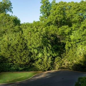 Photo #5 of 1581 Huntmoor, Rock Hill, SC
