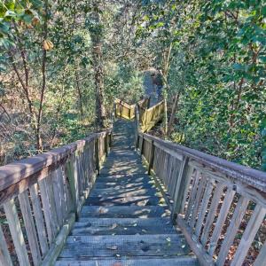 Photo #8 of 124 Mayhaw, Columbia, SC