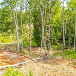 Photo #19 of 345 Squirrel, Clover, SC