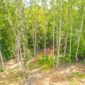 Photo #17 of 345 Squirrel, Clover, SC