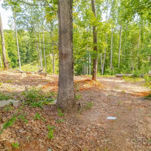 Photo #21 of 345 Squirrel, Clover, SC