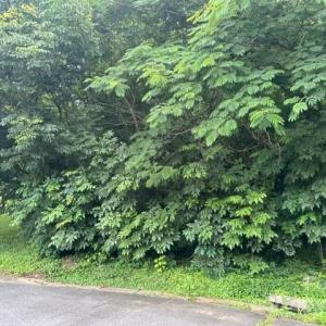 Photo #6 of 192, 188, 196, 197 & 193 Riverbirch, Concord, NC