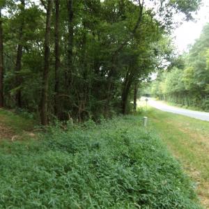 Photo #3 of Nc 138, Norwood, NC