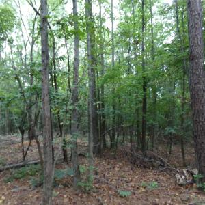 Photo #5 of Nc 138, Norwood, NC