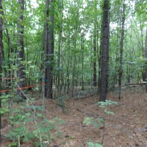 Photo #4 of Nc 138, Norwood, NC